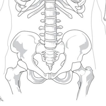Kość krzyżowa - anatomia i dysfunkcje
