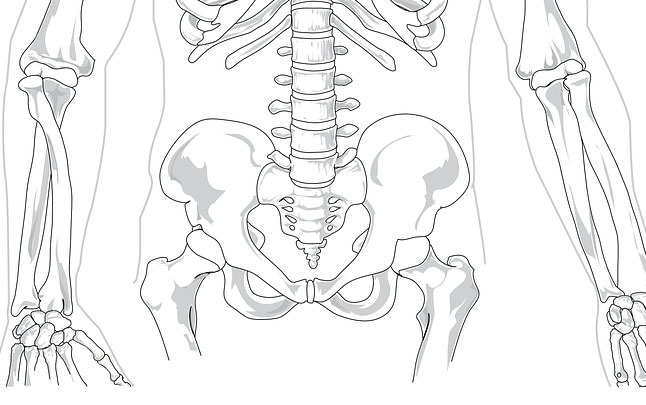 Kość krzyżowa - anatomia i dysfunkcje