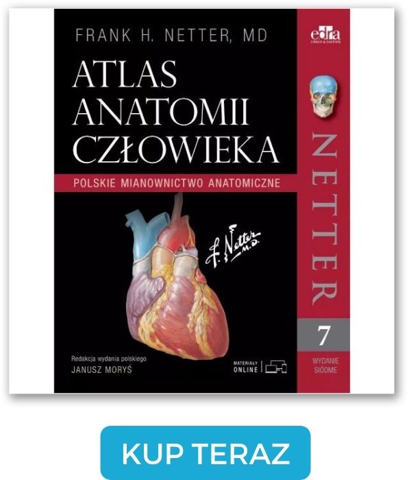 Atlas anatomii człowieka Nettera