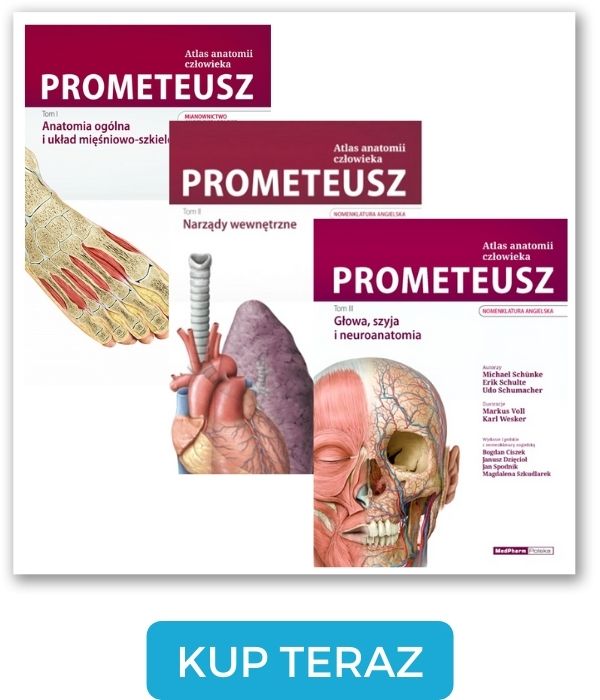 Atlas anatomii człowieka Prometeusz