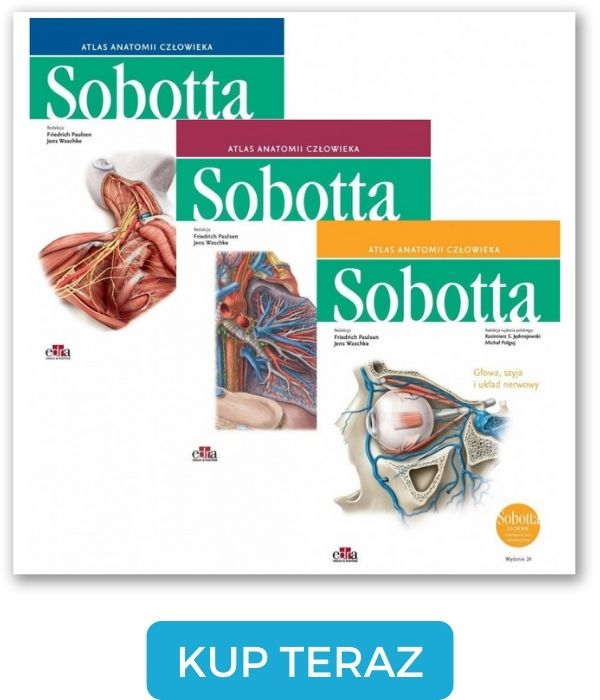 Atlas anatomii człowieka Sobotta