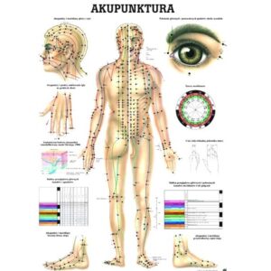 Tablica anatomiczna - Akupunktura