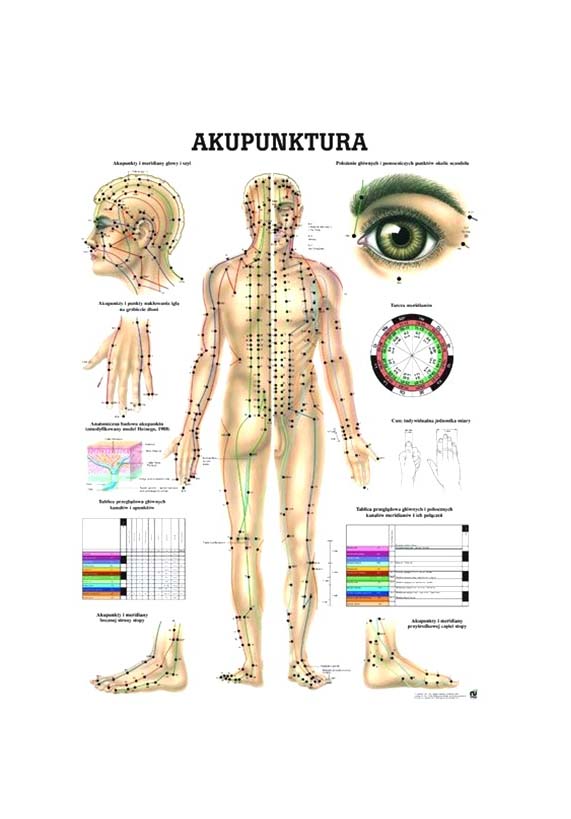 Tablica anatomiczna - Akupunktura