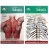Anatomia Sobotta - Flashcards
