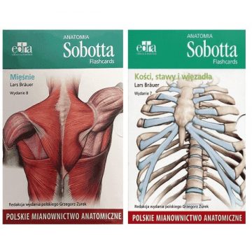 Anatomia Sobotta - Flashcards