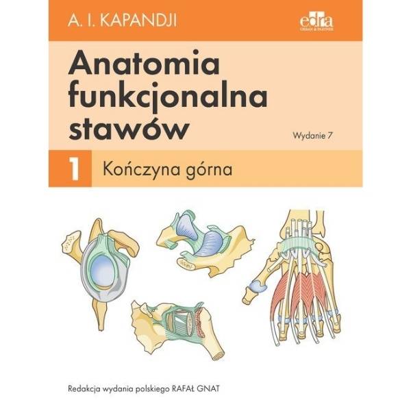 Anatomia funkcjonalna stawów kończyna górna tom 1