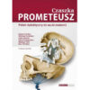 Czaszka Prometeusz – pakiet dydaktyczny do nauki anatomii – R. Maciejewski