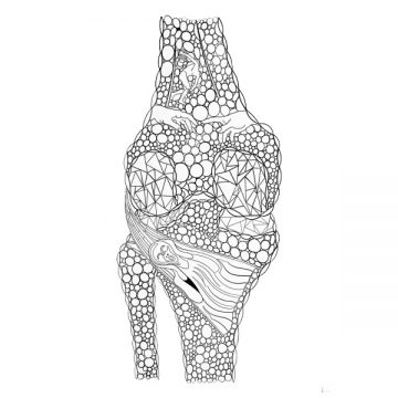 Plakat anatomiczny - Staw kolanowy