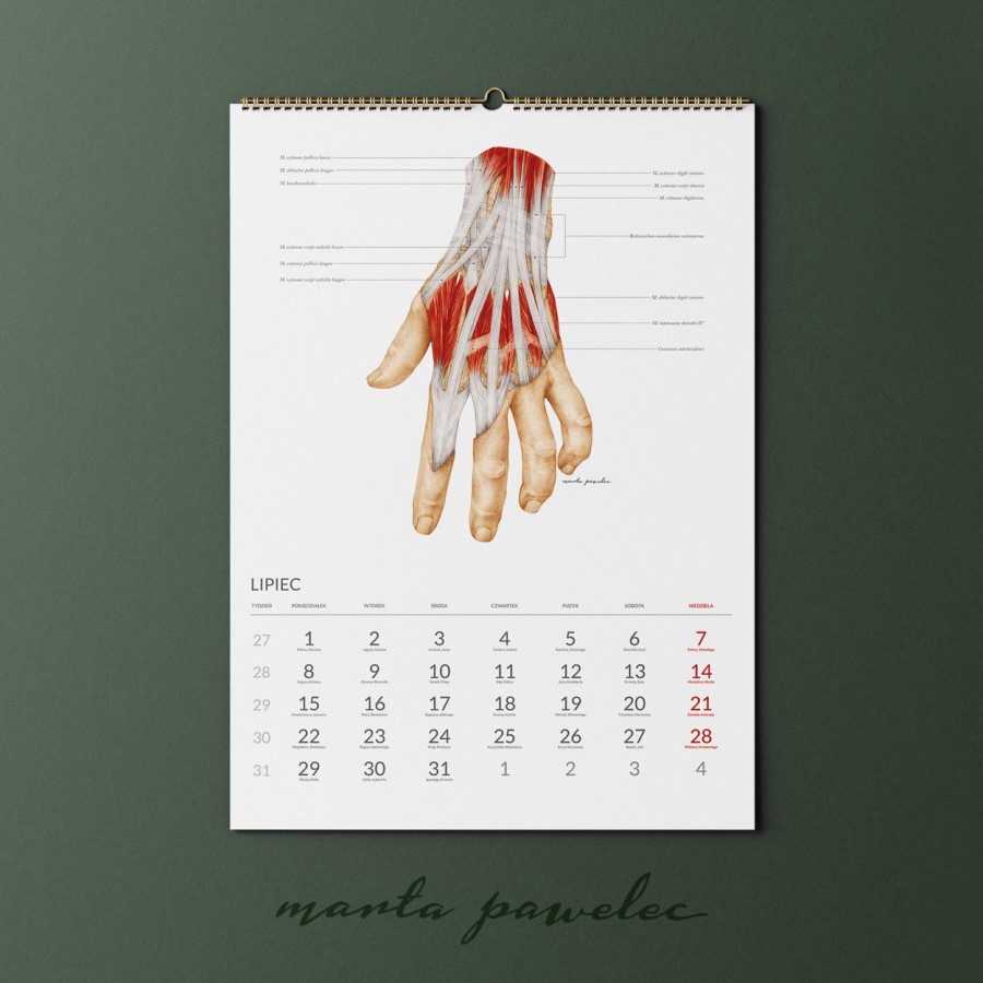 Kalendarz Anatomiczny_8