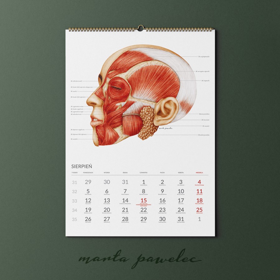 Kalendarz Anatomiczny_9