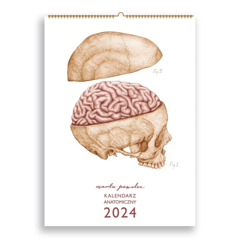Kalendarz_Anatomiczny_2024