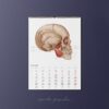 Kalendarz anatomiczny ścienny 2022