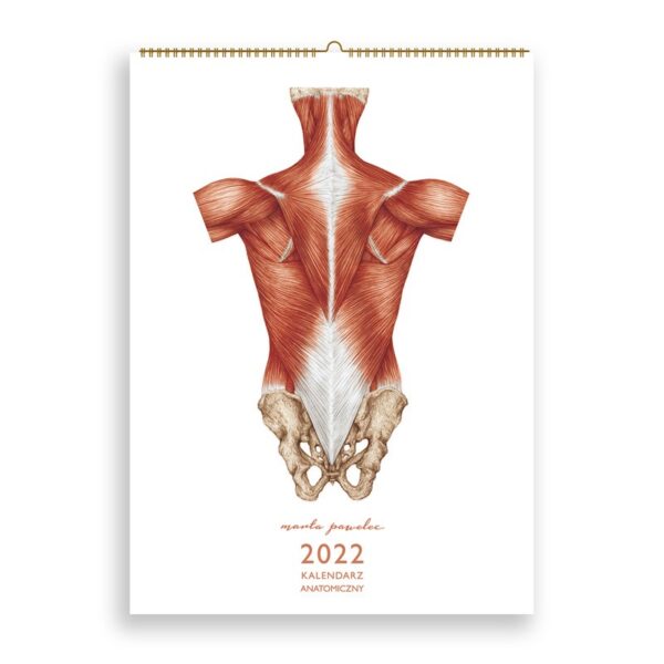 Kalendarz fizjoterapeuty 2022 Marta Pawelec